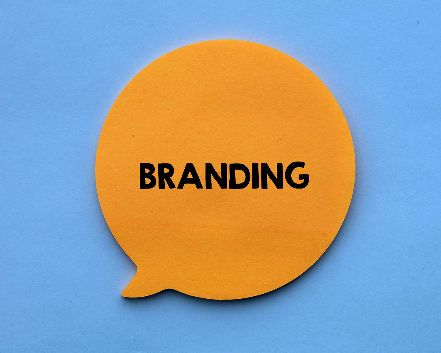 Brand & Identity Brand & Identity